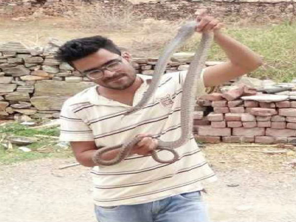 स्नेक किंग