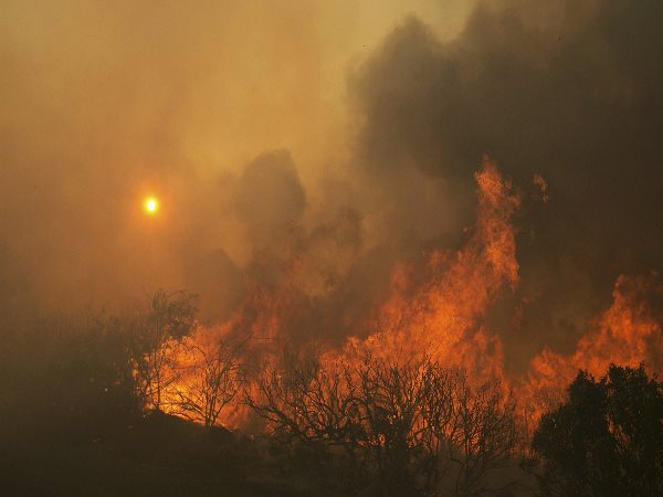 कैलिफोर्निया के जंगल में आग कैलिफोर्निया के जंगल में आग