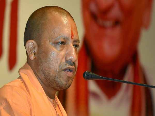 yogi yogi