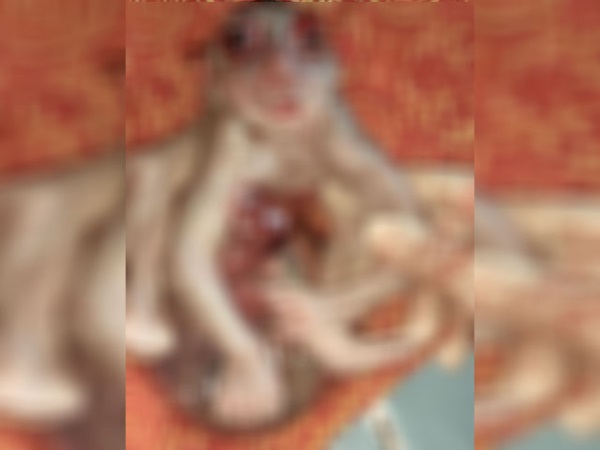 Bizarre child scared everyone in Motihari Bihar Bizarre child scared everyone in Motihari Bihar