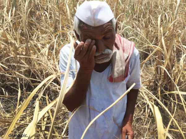 Farmers of Maharashtra fell unconscious, bought medicines for perfusion caused poor condition Farmers of Maharashtra fell unconscious, bought medicines for perfusion caused poor condition