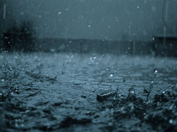 Eleven people died in Maharashtra after heavy rain Eleven people died in Maharashtra after heavy rain