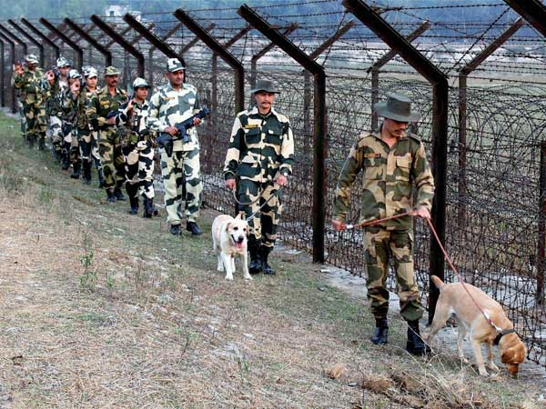कर्नाटक से लाए गए ये कुत्ते