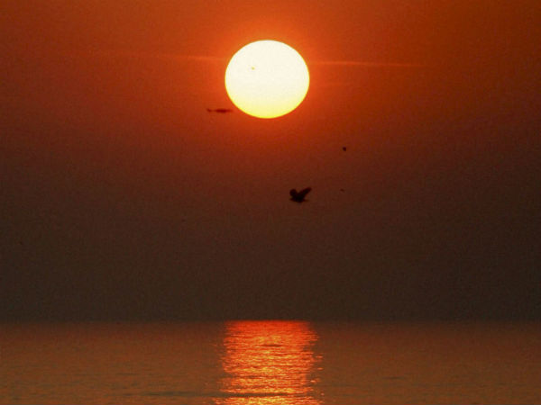 जानिए रविवार को जन्म लेने वाले कैसे होते हैं, क्या कहता है धर्म? जानिए रविवार को जन्म लेने वाले कैसे होते हैं, क्या कहता है धर्म?
