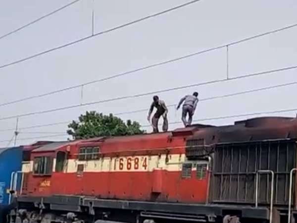 20 मिनट तक उत्पात मचाने के बाद उसे पकड़ लिया गया