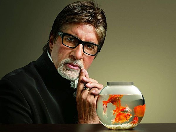 अमिताभ ने ब्लॉग पर बयां किया दर्द, बोले- हमें गद्दार घोषित किया, मुक्ति-शांति की बात भी की अमिताभ ने ब्लॉग पर बयां किया दर्द, बोले- हमें गद्दार घोषित किया, मुक्ति-शांति की बात भी की