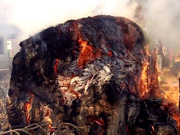 Dabang burn fire in Village for land rogue in Mathura Dabang burn fire in Village for land rogue in Mathura
