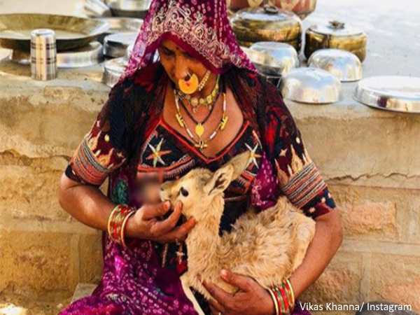 राजस्थान: मानवता की अद्भुत मिसाल है बिश्नोई समाज राजस्थान: मानवता की अद्भुत मिसाल है बिश्नोई समाज