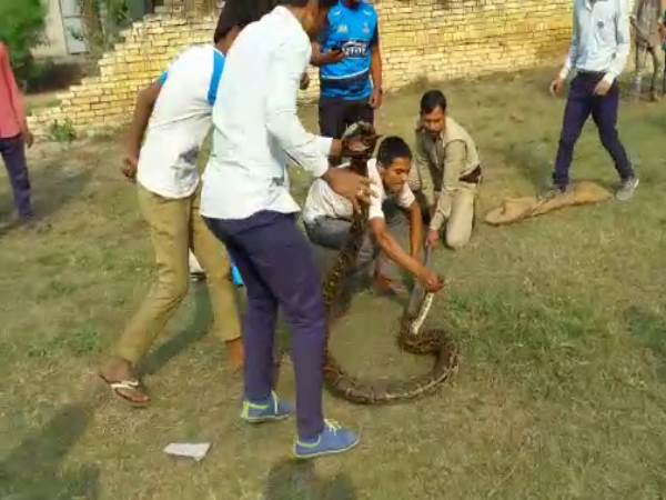Muzaffarnagar seeing Python in school student got afraid Muzaffarnagar seeing Python in school student got afraid