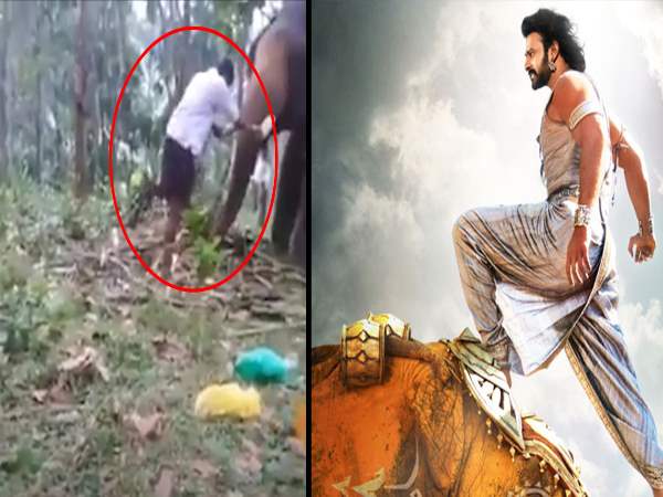 kerala man tries to climb elephant like bahubali get kicked kerala man tries to climb elephant like bahubali get kicked