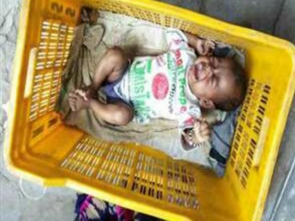New born found in basket, man rescue from dogs in bihar New born found in basket, man rescue from dogs in bihar
