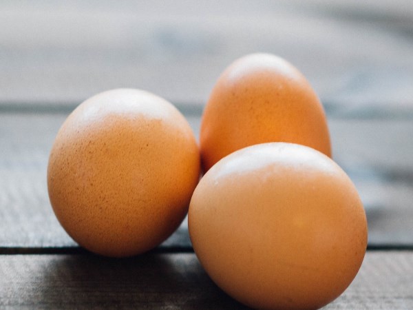 man sells Emu bird cost 20000 egg cost 800 man sells Emu bird cost 20000 egg cost 800