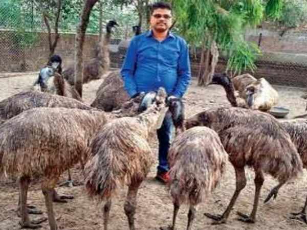 man sells Emu bird cost 20000 egg cost 800 man sells Emu bird cost 20000 egg cost 800