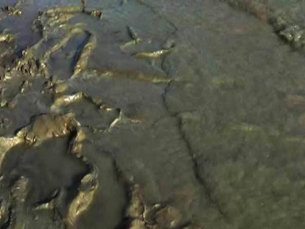 Polluted water of siang river Polluted water of siang river
