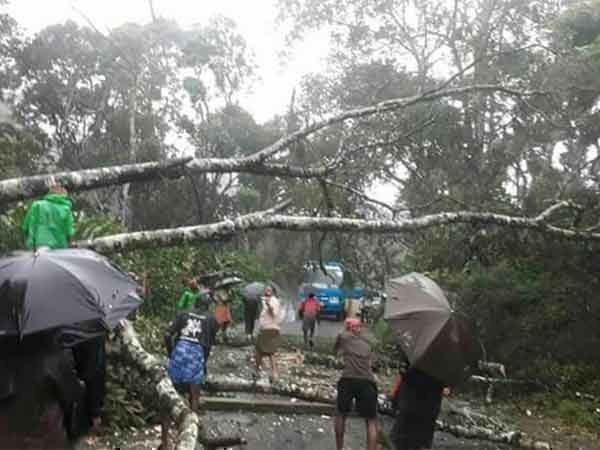 दक्षिण गुजरात के तमाम इलाकों में 5 दिसंबर को भारी बारिश की चेतावनी