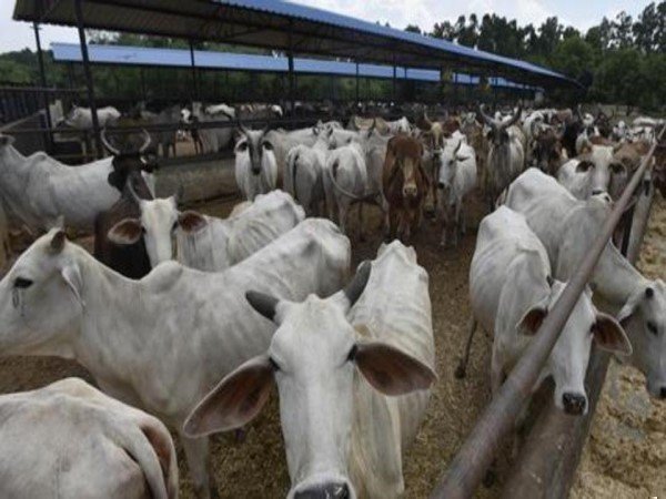 100 रुपए की कमाई पर देते हैं 25 पैसे