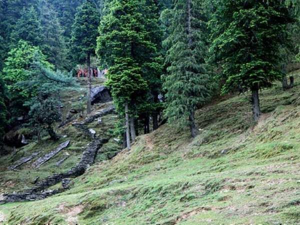 देवता करते हैं जंगल की सुरक्षा