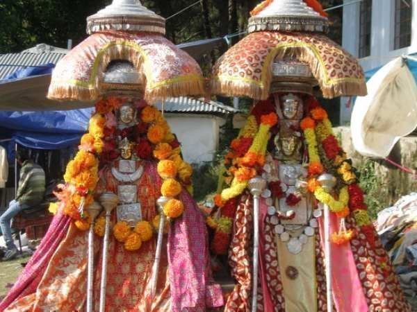 जंगल में घुसने का साहस नहीं जुटा पाते