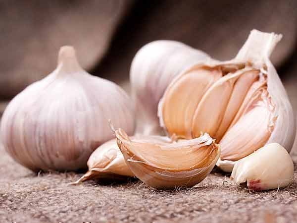 सरकार ने लहसुन को मसाला और सब्जी दोनों में रखा है
