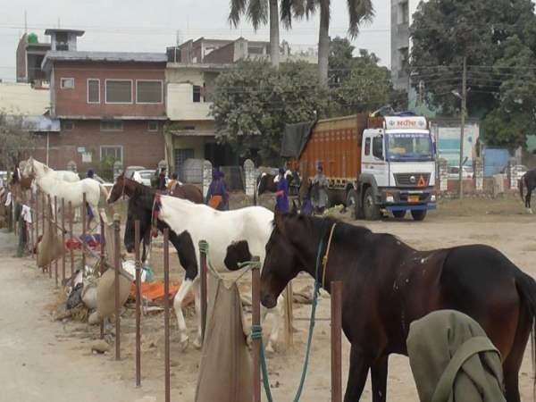 घोड़ों व हाथियों का देखने को मिलेगा करतब