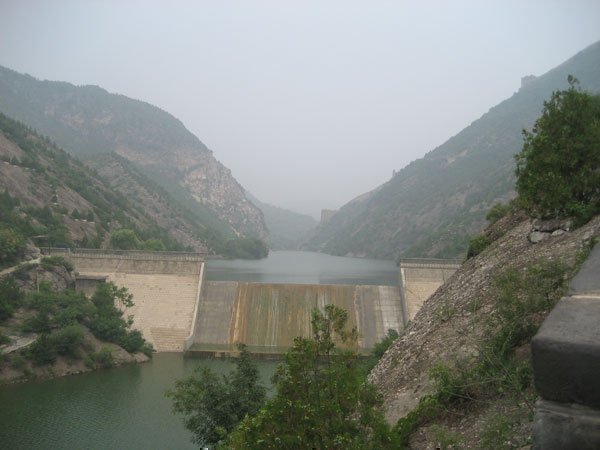 जहरीले पानी से मर रही है मछलियां