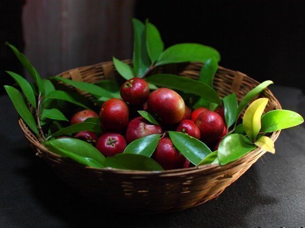 Kokum Kokum