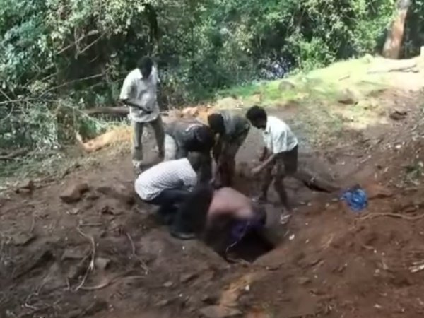 बार-बार लौट आ रही थी हथनी