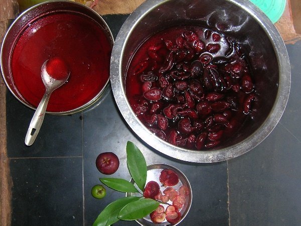खाने में खूब होता है कोकम का इस्तेमाल