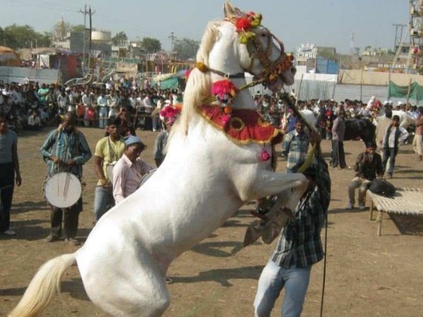 कीमत सुन दंग रह गए थे मु्ख्यमंत्री