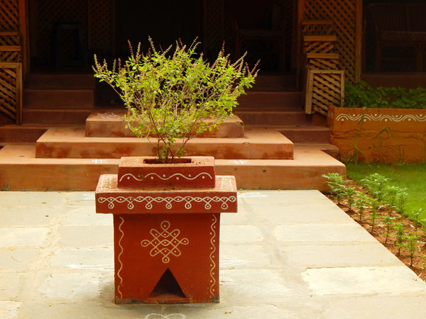 चमत्कारी लाभ