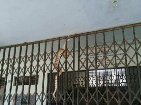 Python in college of Allahabad Python in college of Allahabad