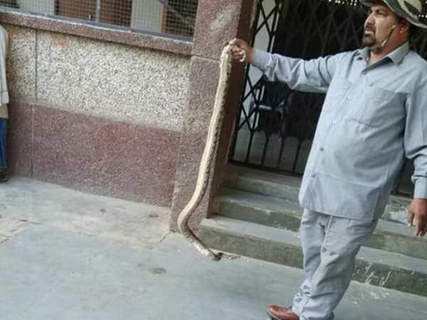 Python in college of Allahabad Python in college of Allahabad