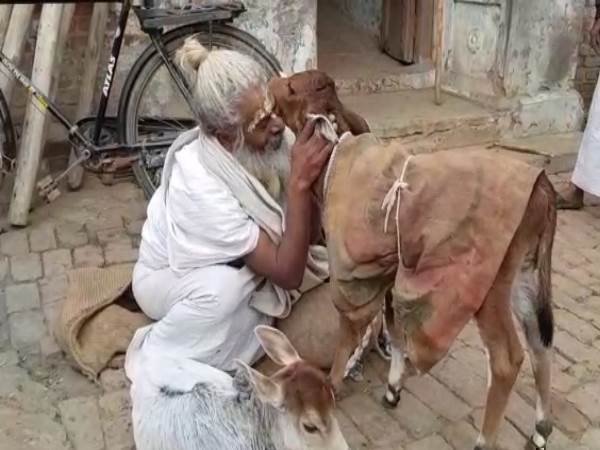 babri demolition ayodhya pain of karsevak babri demolition ayodhya pain of karsevak