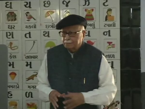 आडवाणी ने डाला वोट, यूजर बोले- कांग्रेस को मत डाल देना दद्दू आडवाणी ने डाला वोट, यूजर बोले- कांग्रेस को मत डाल देना दद्दू
