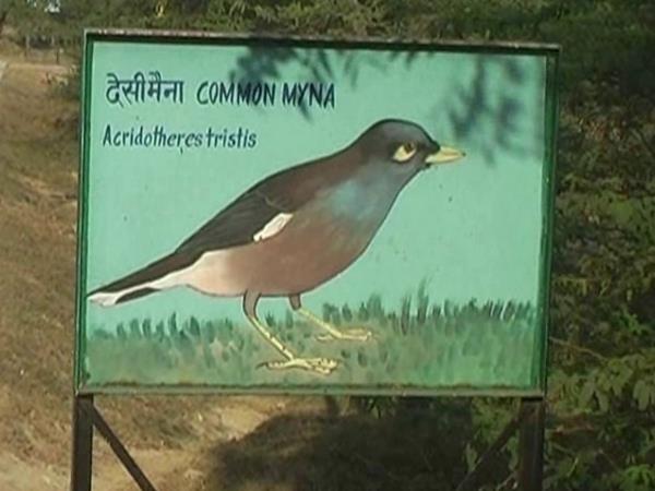 जर्जर हो चुका है पार्क