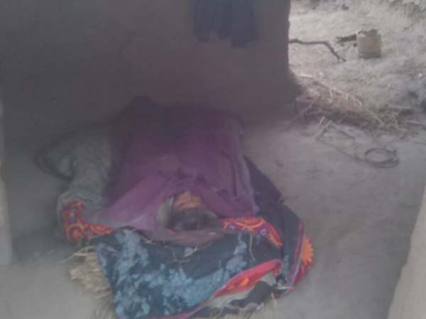 लेखपाल ने गांव पहुंचकर की जांच
