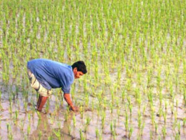नेताओं के परिवार के पास कहीं अधिक जमीन