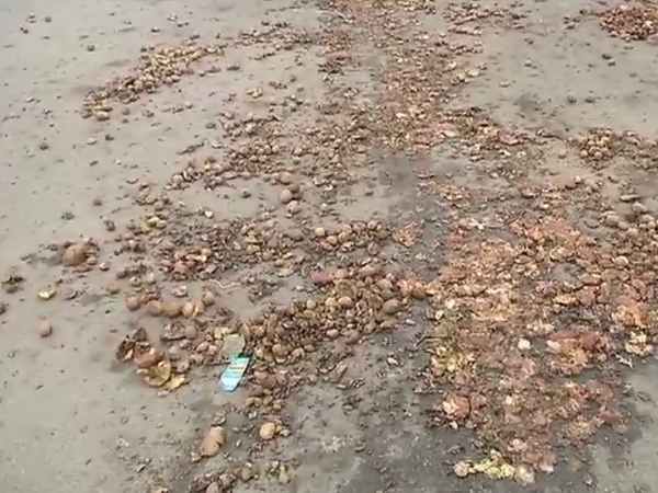 मांगा था 10रुपए किलो न्यूनतम मूल्य