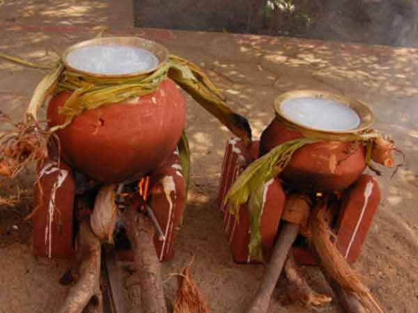तमिल नववर्ष का आरंभ है पोंगल