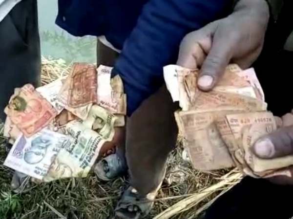 हजारों रुपए लोग नाले से निकालकर ले गए