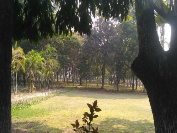 पार्क को बना दिया मस्ती की जगह