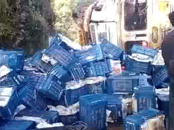 Six people killed on spot when truck overturned on car in Agra Six people killed on spot when truck overturned on car in Agra