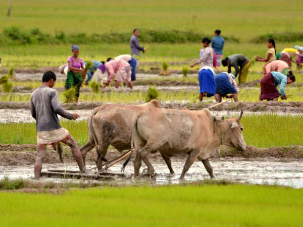 ग्रामीण क्षेत्रों पर ध्यान दें
