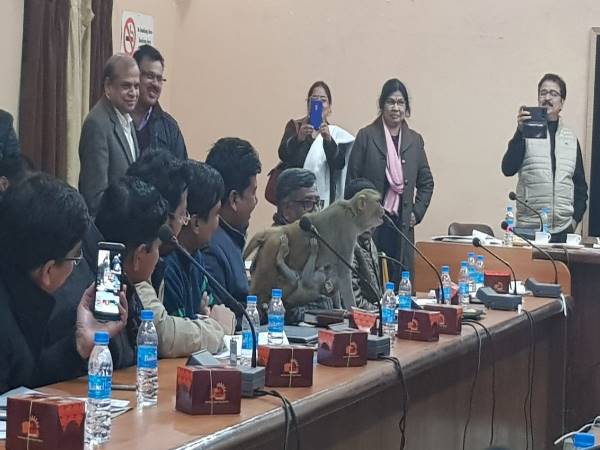 Monkey reached UP Collectorate Meeting among Officers in Raebareli Monkey reached UP Collectorate Meeting among Officers in Raebareli