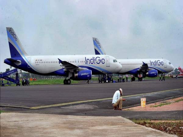 indigo indigo