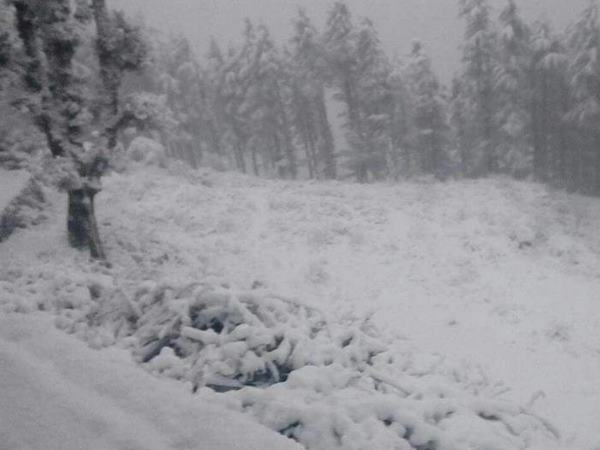 सर्दी का सितम: पहाड़ों पर बर्फबारी से फिर कांपा उत्तर भारत, कोहरे के कारण कई ट्रेनें रद्द सर्दी का सितम: पहाड़ों पर बर्फबारी से फिर कांपा उत्तर भारत, कोहरे के कारण कई ट्रेनें रद्द