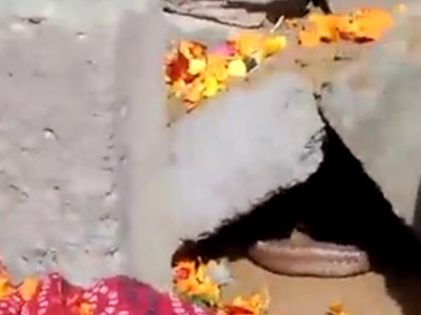 बार-बार लौट आता है सांप