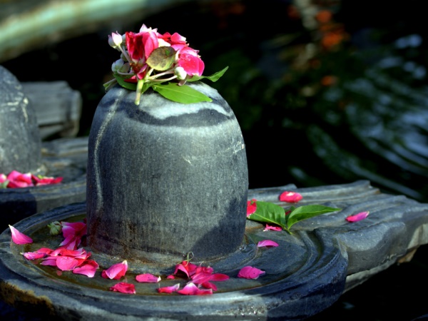 this is how to worship shiva on this shivratri this is how to worship shiva on this shivratri