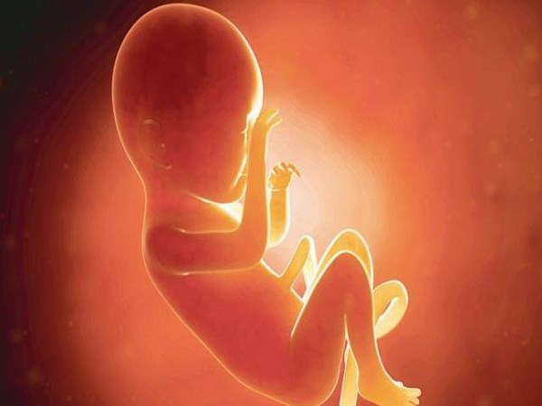 कोर्ट ने सरकार से पीड़ित लड़की के पुनर्वास के लिए मदद के भी दिए निर्देश