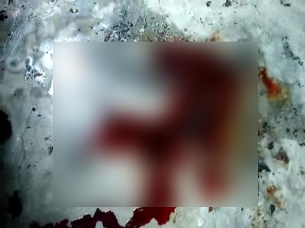 हत्या या आत्महत्या